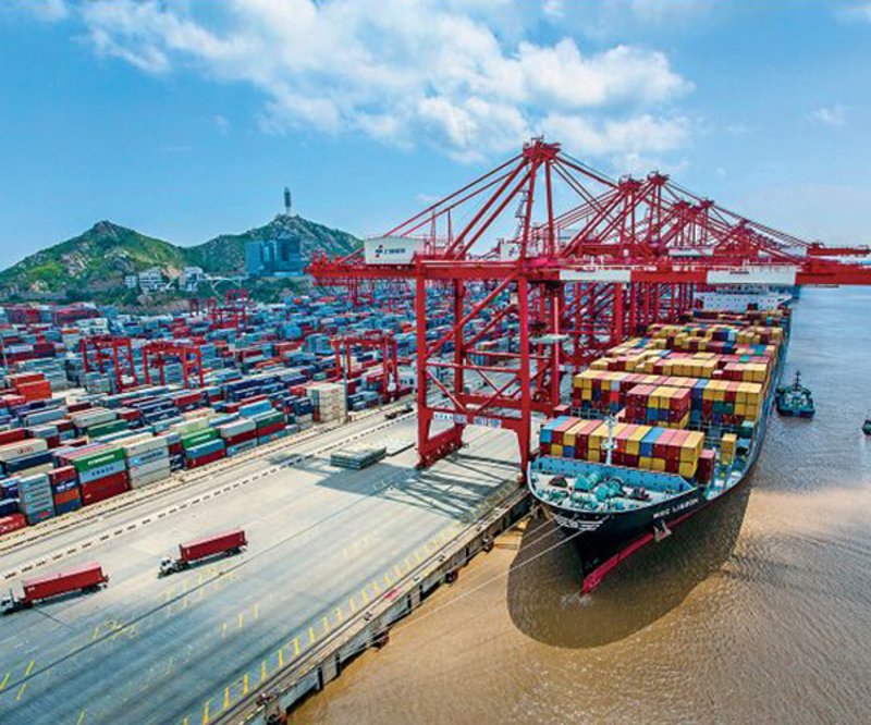 商贸批发：市场风云中的破浪者